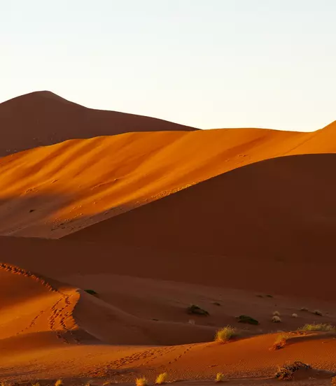 Big Daddy dune early in the morning
